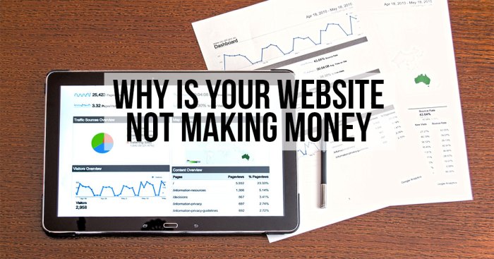 Paycheck extra My website isnt making money