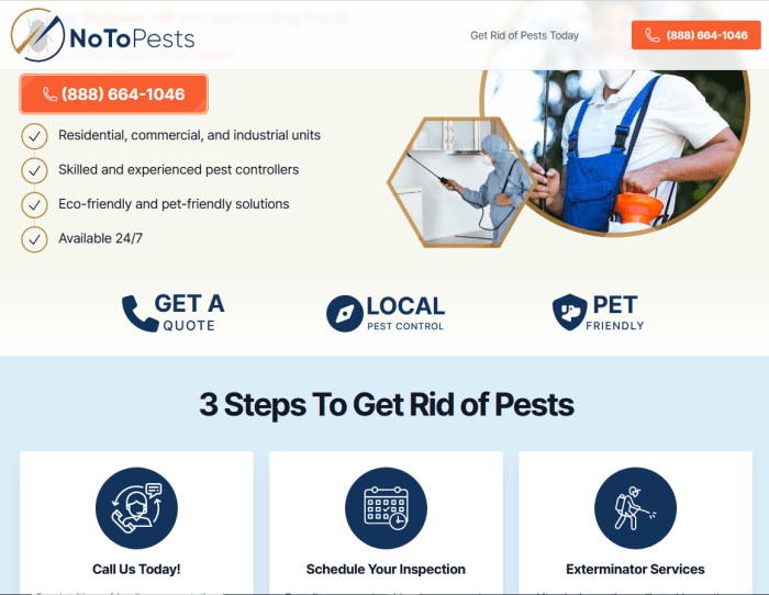 Top features on pest control websites