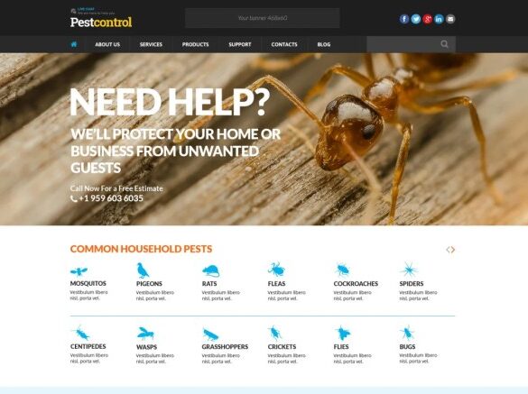 Hypertext transfer protocol secure 101 boosting pest control website search rankings with it