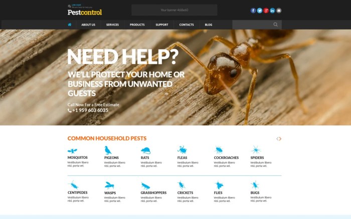 Hypertext transfer protocol secure 101 boosting pest control website search rankings with it