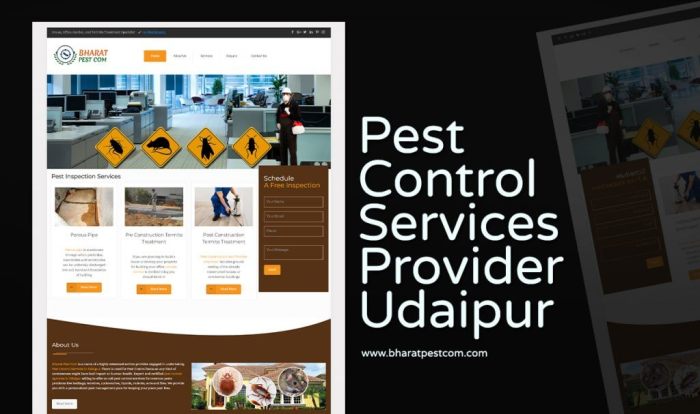 Hypertext transfer protocol secure 101 boosting pest control website search rankings with it
