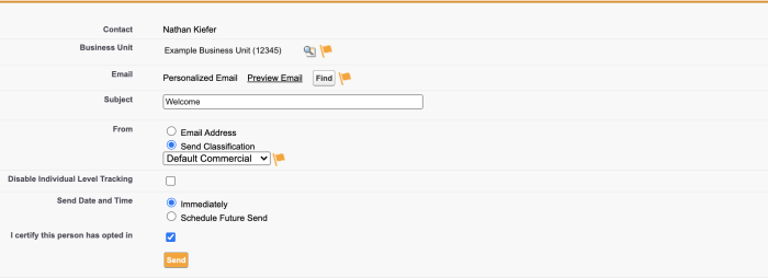 Salesforce marketing cloud email