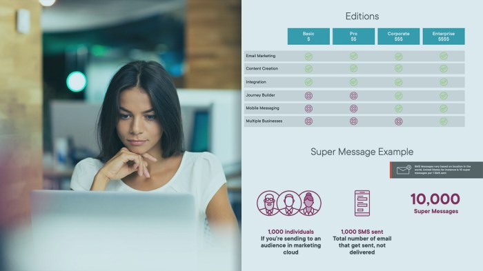 An introduction to salesforce marketing cloud consulting boost your digital marketing success