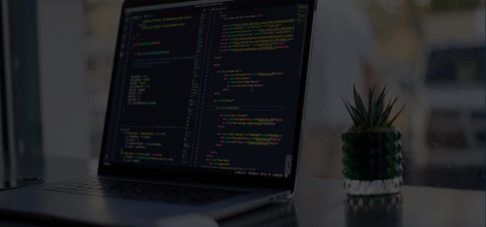 Salesforce b2b commerce platform features