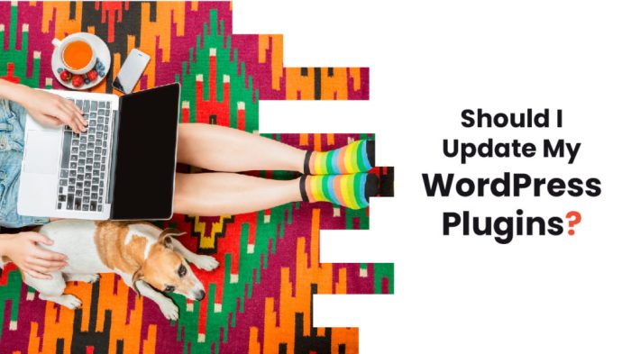 Should i update wordpress or plugins first