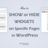 Hide widgets wordpress templatetoaster blog method