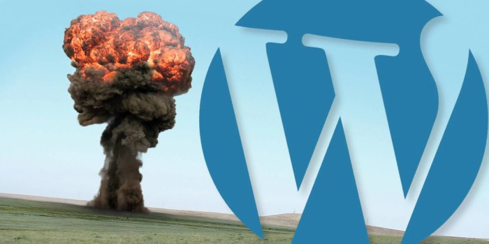 Wordpress leader mullenweg silences joost de valk