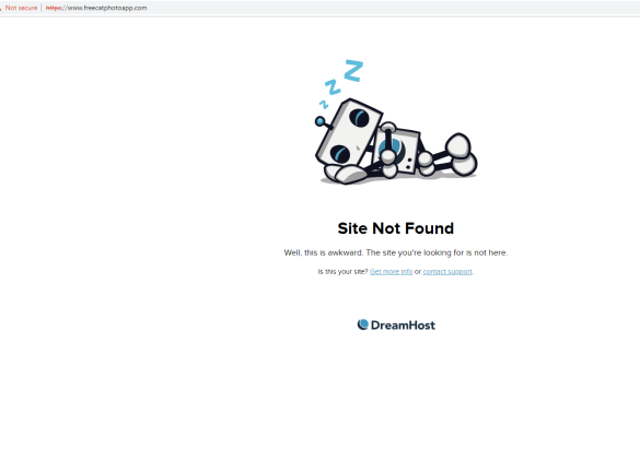 Plug the holes in your website