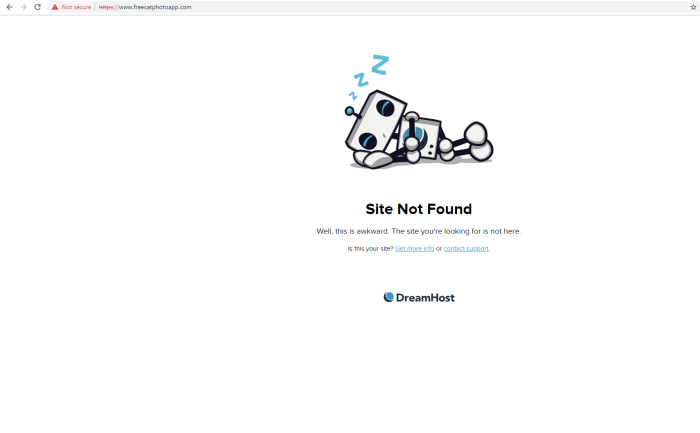 Plug the holes in your website