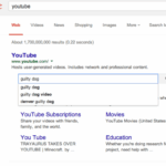 Your guide to understanding googles sitelinks search box