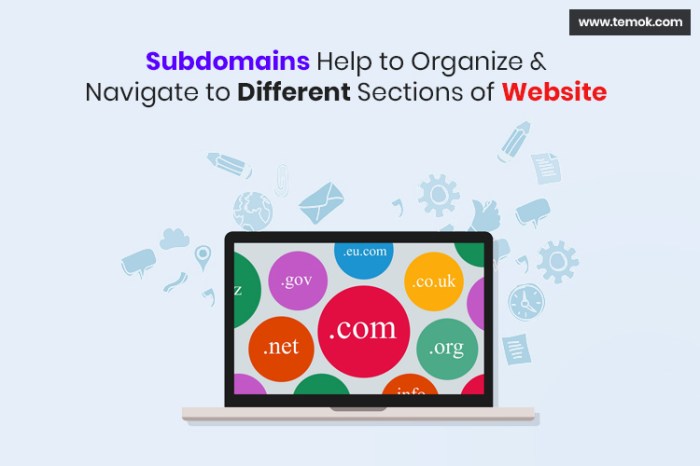 What is a subdomain