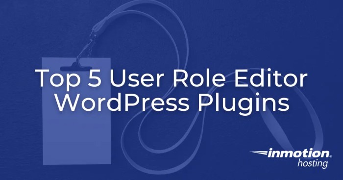 How to add an seo editor role in wordpress