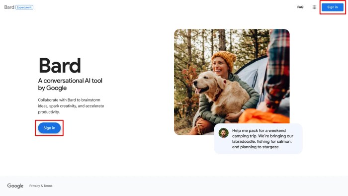 Google bard can now use your devices location
