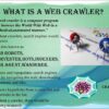 Web crawler and the important things it does