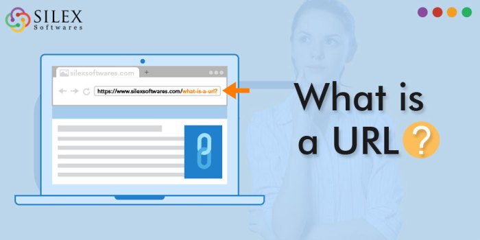 What is a url