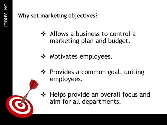 The importance of marketing objectives and great examples