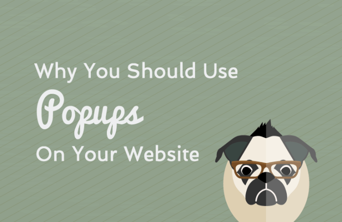 Should You Use Website Pop-Ups in 2024? Should i use website popups