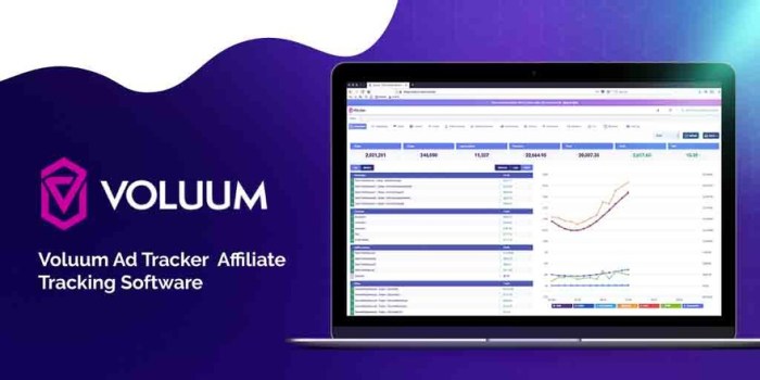 Tracking online ad roi