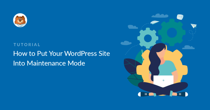 Maintenance mode wordpress stuck plugin fix how example How to put your wordpress site in maintenance mode