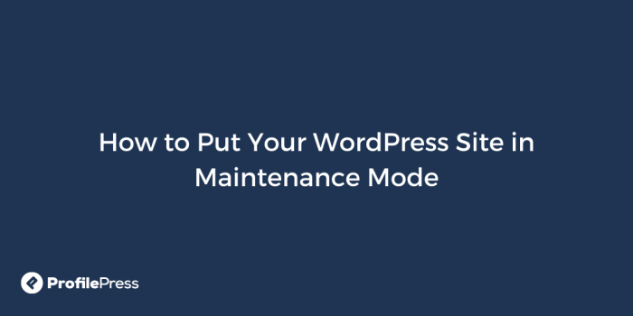 How to put wordpress in a read only mode for migrations and maintenance