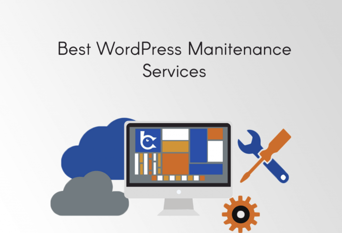 Best wordpress maintenance and management services