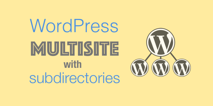 How to use wordpress multisite to create website subdirectory