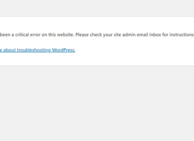 How to use wordpress recovery mode