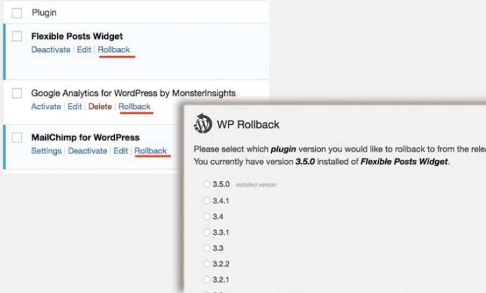 Mullenwegs grip on wordpress challenged in new court filing
