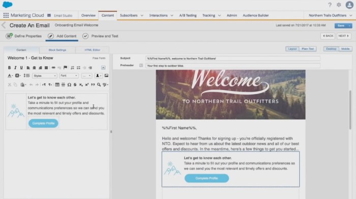 Salesforce marketing cloud email