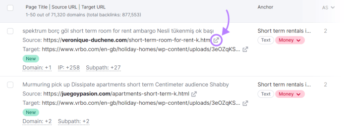 What is a referring domain