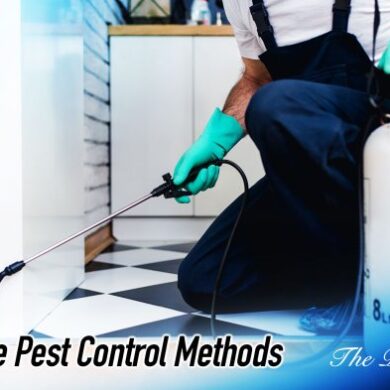Six ways increase referrals pest control