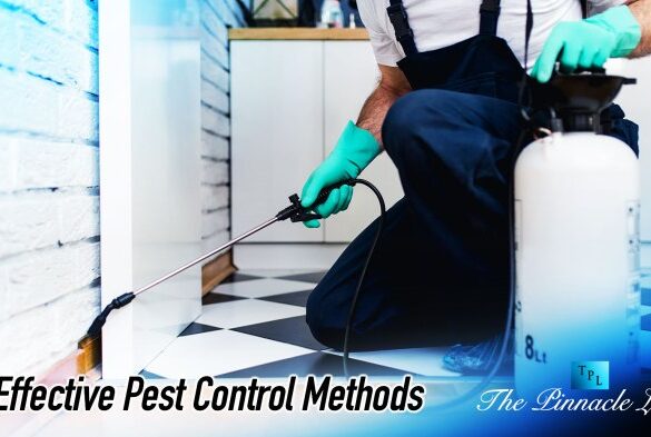 Six ways increase referrals pest control