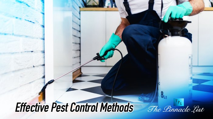 Six ways increase referrals pest control