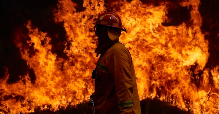 Australia bushfire crisis online donations how you can help
