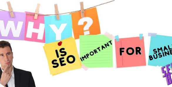 Why seo is important for business