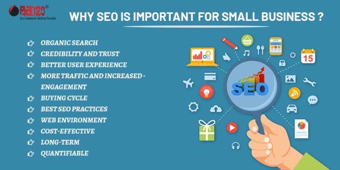 Why seo is important for business