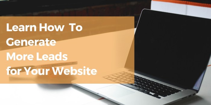 How to get more leads with your pest control website