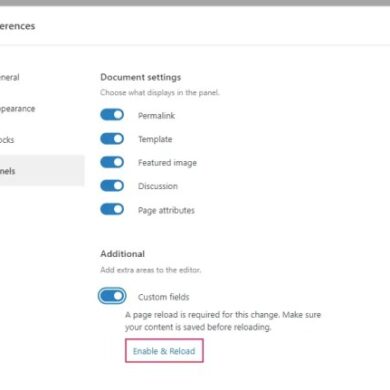 How to fix custom fields not showing in wordpress