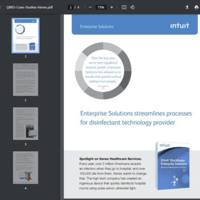 Case studies brands that excelled with meta advertising