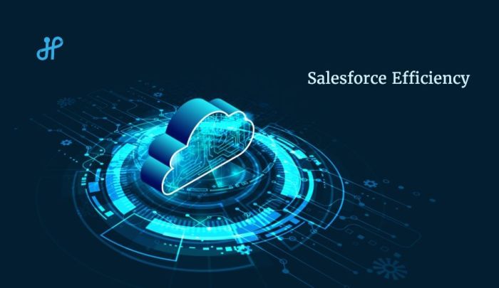 Avoid salesforce mistakes boosting efficiency and maximizing revenue