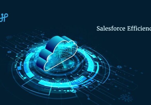 Avoid salesforce mistakes boosting efficiency and maximizing revenue