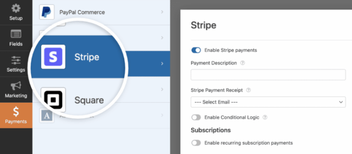 How to allow users to choose a payment method on wordpress forms
