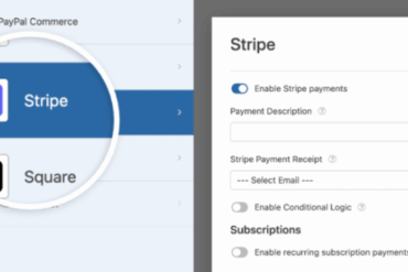 How to allow users to choose a payment method on wordpress forms