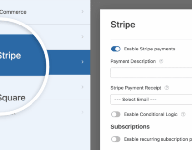 How to allow users to choose a payment method on wordpress forms