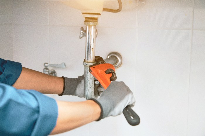 A new era for a e c professionals the making of visible experts