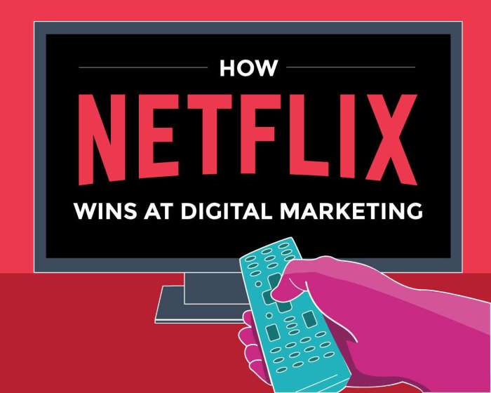 What netflix can teach us about professional services marketing