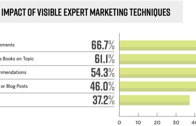 A new era for a e c professionals the making of visible experts