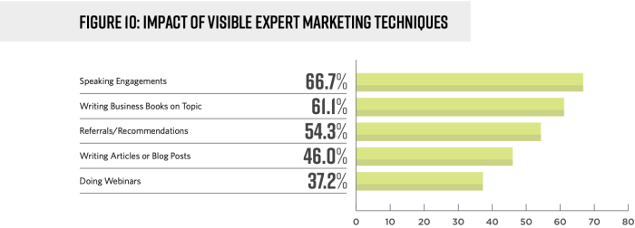 A new era for a e c professionals the making of visible experts