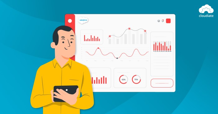 Salesforce commerce cloud consulting services