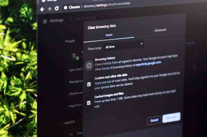How to refresh your browsers cache google chrome 2
